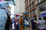 DSC_6493.JPG